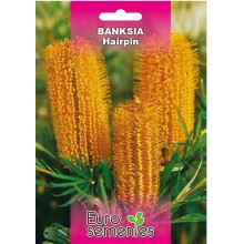 EUROSEMENTES FLORES TROPICAIS BANKSIA